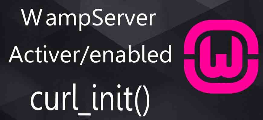 Localhost curl_init undefined Hatası