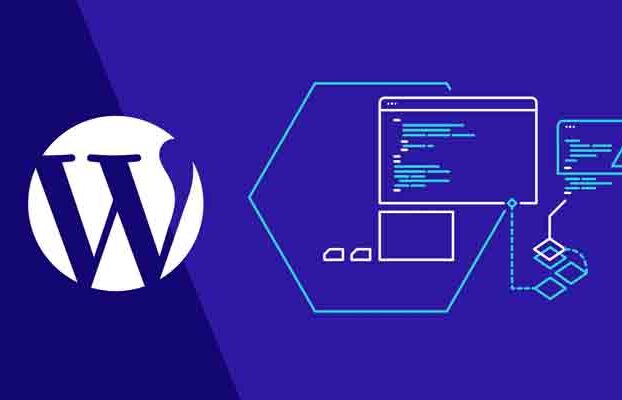 WordPress Özel Alan Kullanımı