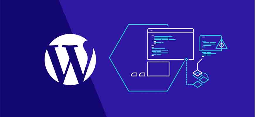 WordPress Özel Alan Kullanımı