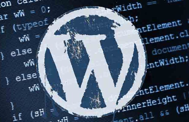 WordPress Tema Fonksiyon Kodları